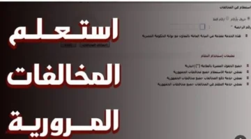 استعلام مخالفات المرور 2025 برقم اللوحة عبر رابط النيابة العامة وخطوات معرفة الغرامة مجانًا
